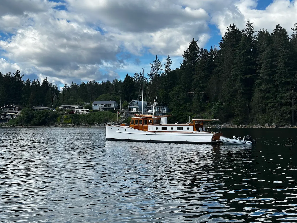 Great blue heron standing at the edge of Pender Harbour's calm inlet
